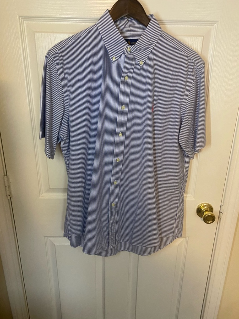 Ralph Lauren Light Blue and White Pinstripe Short-Sleeve Button-Down Shirt